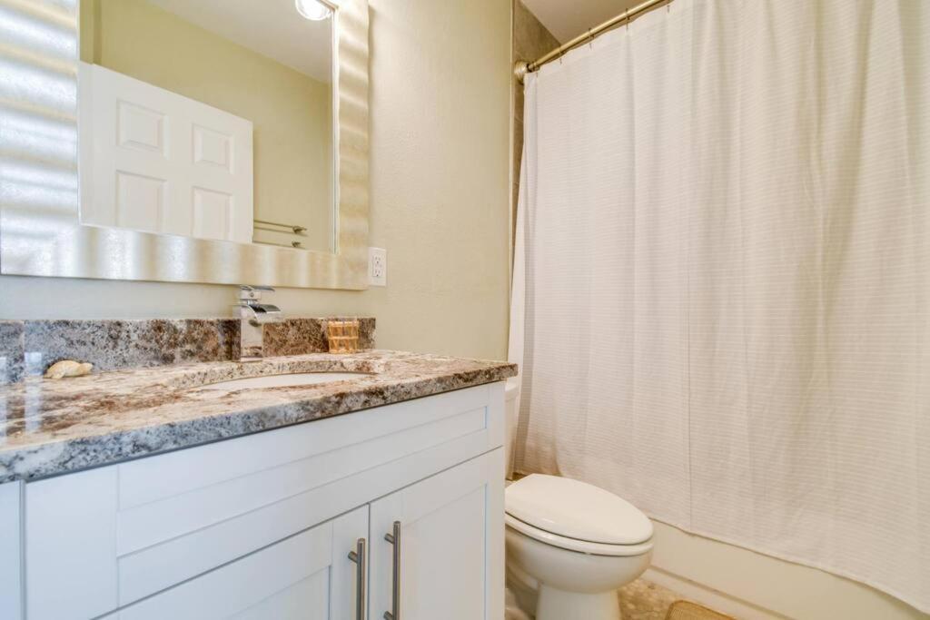 Luxury Home In The Heart Of South Tampa & Pool! エクステリア 写真